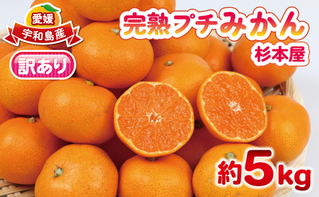 【ご家庭用】完熟プチみかん約5kg杉本屋 | みかん B010-143003
