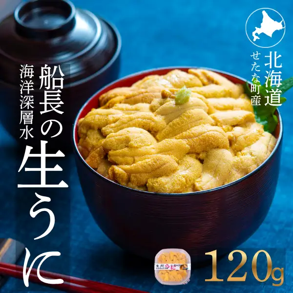 【2026年6月上旬から順次発送】【海洋深層水使用】北海道産 生うに 120g×1個 キタムラサキウニ 直送 旬 パスタ 寿司 焼き うに丼 海鮮 せたな町 ふるさと納税