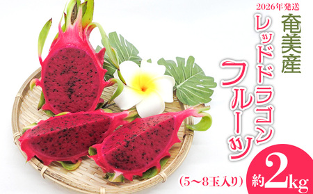 2026年発送【奄美産】レッドドラゴンフルーツ 約2kg（5～8玉入り）果物