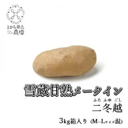 雪蔵甘熟メークイン二冬越 3kg箱入り(M～Lサイズ混)_野菜 じゃがいも いも ジャガイモ 馬鈴薯_【配送不可地域：離島】【1409988】