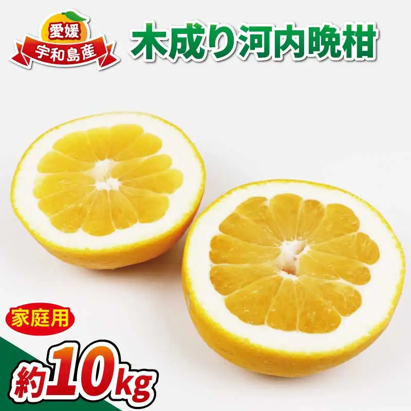 家庭用 愛媛みかん 木成り 河内晩柑 10kg 南四国ファーム 愛媛みかん B010-035013