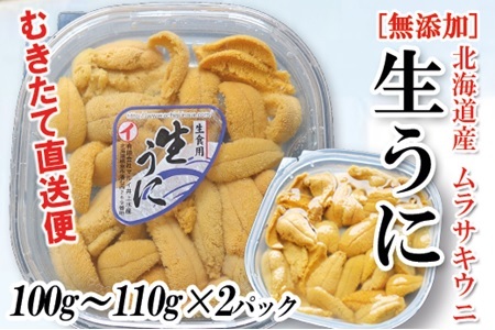 ムラサキウニ塩水パック100～110g×2P B-53012