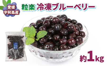 ブルーベリー 1kg(500g×2袋) 粒楽 南四国ファーム 冷凍 フルーツ ベリー 果物 J013-035014