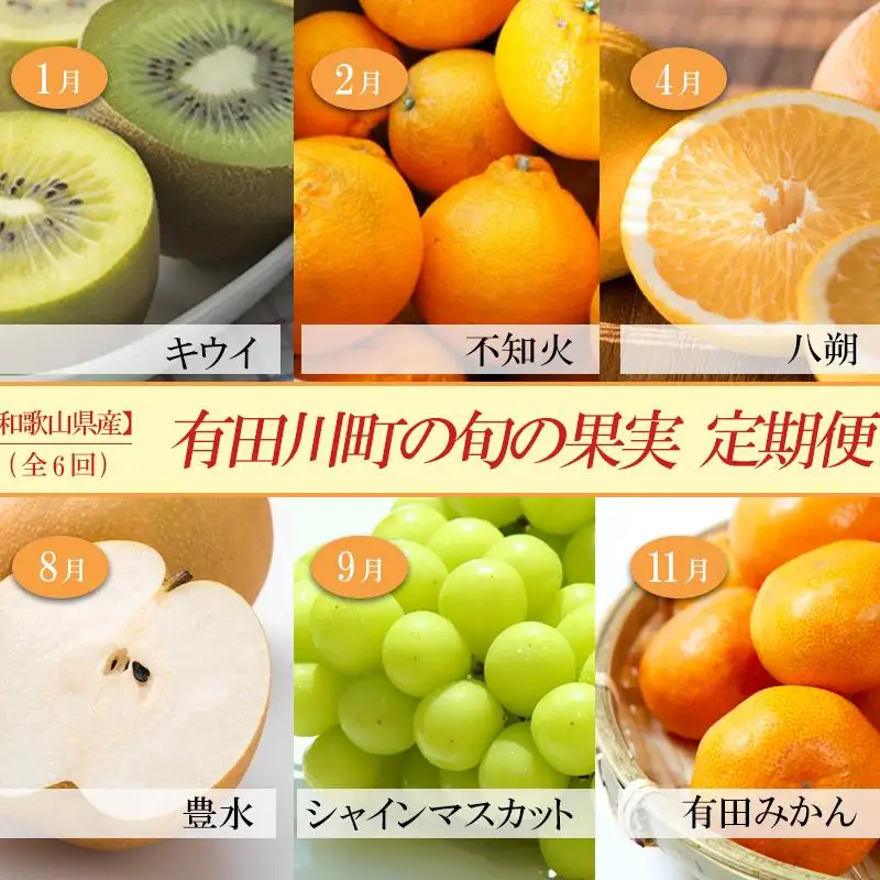 【定期便全6回】 有田川町の旬のフルーツをお届け！