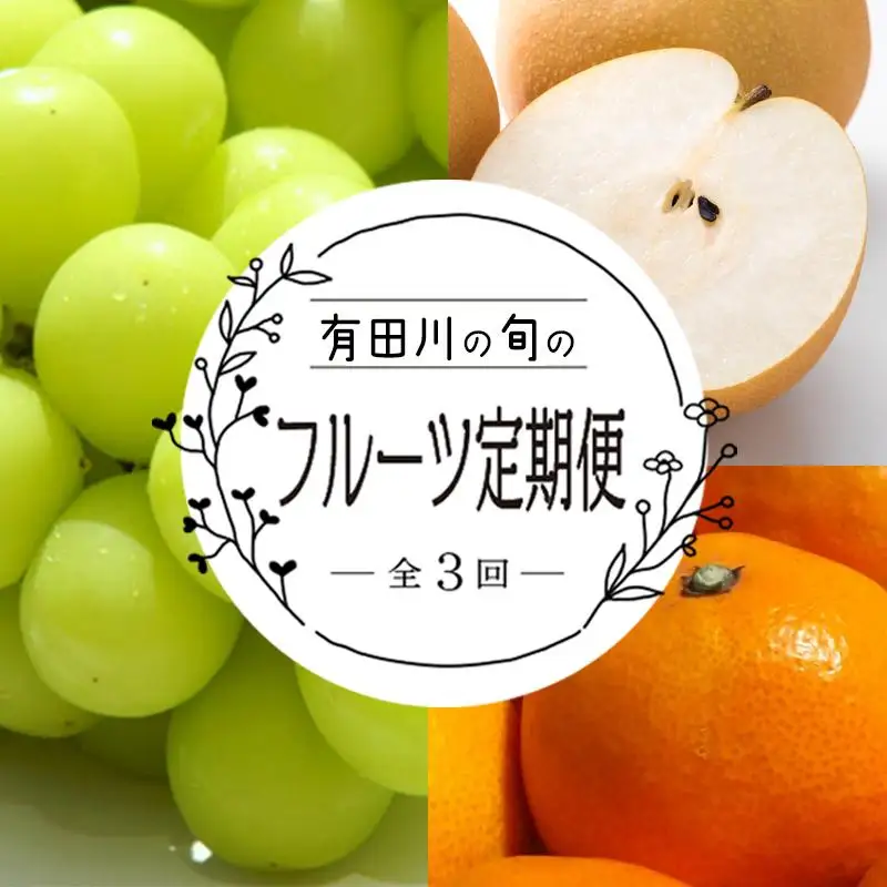 定期便3回（8月・9月・10月） 有田川町の旬のフルーツをお届け！