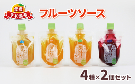 ソース 宇和島産 果物 フルーツソース 4種×2個 セット 170g×8個 南四国ファーム ブルーベリー ベリー J011-035016