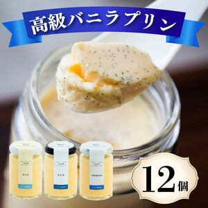 【高級 プリン】バニラ プリン 3種食べ比べ 12個 12種 ソース付き