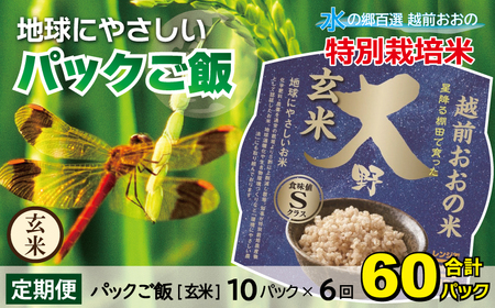 【6ヶ月定期便】パックご飯 150g ×10食 ×6回 玄米 減化学肥料｜地球にやさしい パックご飯