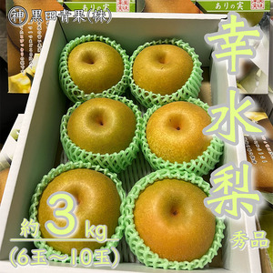山形県産 幸水 梨 秀品 約3kg(6～10玉) 【令和8年産先行予約】FU23-442 くだもの 果物 フルーツ 山形 山形県 山形市 2026年産