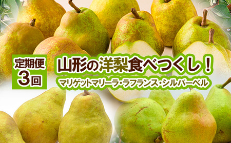 ★定期便3回★山形の洋梨食べつくし！(マリゲットマリーラ・ラフランス・シルバーベル) 【令和8年産先行予約】FS25-688 くだもの 果物 フルーツ 山形 山形県 山形市 2026年産