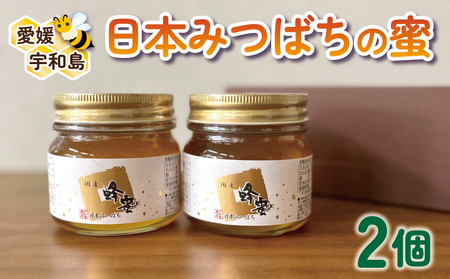 はちみつ 日本みつばちの蜜 2個 宇和島農産 国産 はちみつ│F020-132002