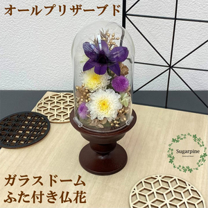 AJ164-1 プリザーブドフラワー【清華/こげ茶】春日部市 シュガーパイン