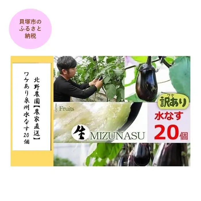 ワケあり水なす２０個