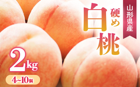 【先行予約 令和8年度発送】硬め白桃 2kg（4～10玉）品種おまかせ もも モモ 桃 デザート フルーツ 果物 くだもの 果実 食品 山形県 FSY-0664