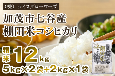 【令和7年産】七谷産 棚田米コシヒカリ 12kg（5キロ×2＋2キロ×1）《順次出荷》 （株）ライスグローワーズ