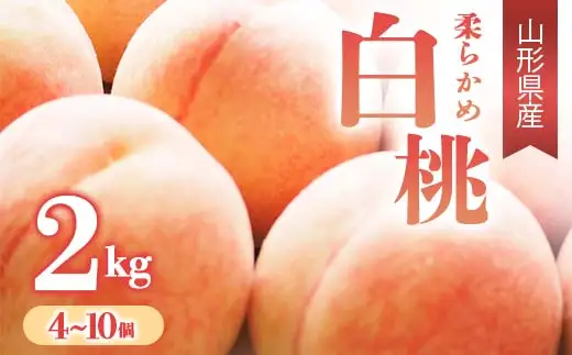 【先行予約 令和8年度発送】柔らかめ白桃 2kg（4～10玉） 品種おまかせ もも モモ 桃 デザート フルーツ 果物 くだもの 果実 食品 山形県 FSY-0665