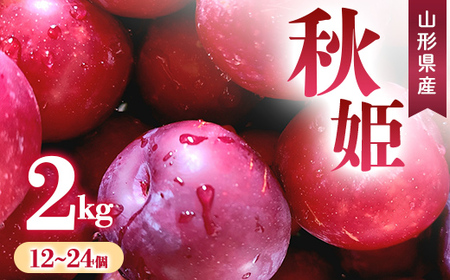 【先行予約 令和8年度発送】すもも 秋姫 2kg（12～24玉） フルーツ 果物 くだもの 果実 食品 山形県 FSY-0666