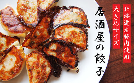 大きめ居酒屋餃子　600g　九州・沖縄配送不可【AN-001】
