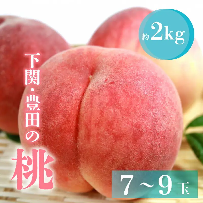 桃 約2kg 先行予約 7～9玉  L~3L くだもの 贈答用 下関 山口 HJ006