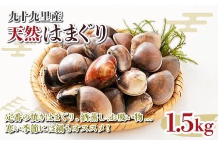 九十九里産 大粒 天然はまぐり1.5kg SHF001 ／ 絶品天然はまぐり 万能食材天然はまぐり 九十九里産天然はまぐり 蛤 ハマグリ海鮮 貝 貝類