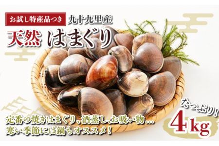 【お試し特産品つき】九十九里産 大粒 天然はまぐり4.0kg SHF003/ 絶品天然はまぐり 万能食材天然はまぐり 九十九里産天然はまぐり 蛤 ハマグリ海鮮 貝 貝類 