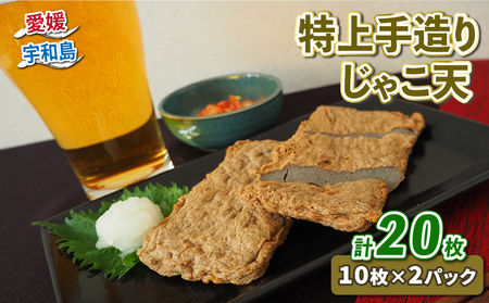特上 手作り じゃこ天 計 20枚 10枚 × 2 パック 小林フーズ じゃこ天 C012-070002