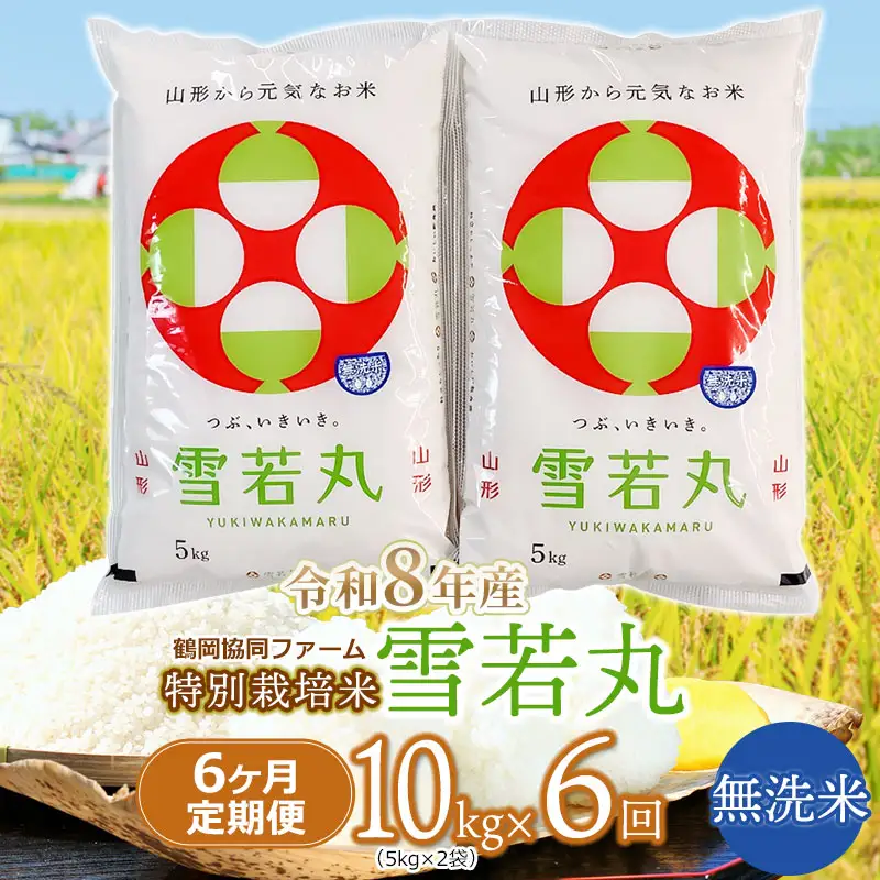 【令和8年産先行予約】 特別栽培米雪若丸 無洗米 10kg (5kg×2袋) ×6ヶ月【定期便】 山形県鶴岡産　鶴岡協同ファーム