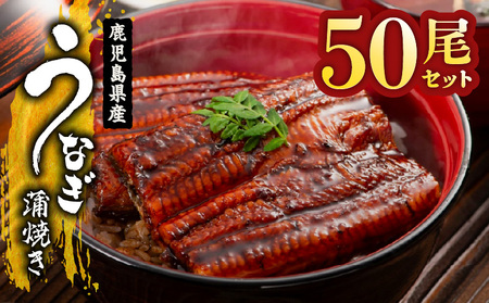 【 土用の丑の日特集 】 2120 鹿児島県産 うなぎ蒲焼 50尾 KN058-002-50 魚 冷凍 鰻