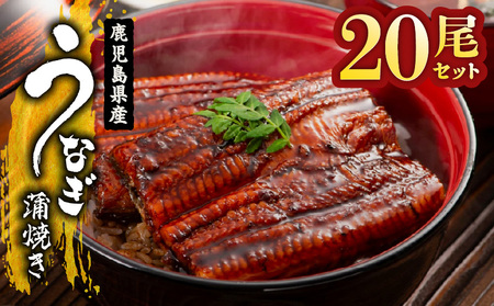 【 土用の丑の日特集 】 2122 鹿児島県産 うなぎ蒲焼 20尾 KN058-002-20 魚 冷凍 鰻