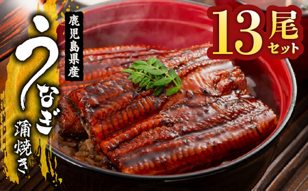 【 土用の丑の日特集 】 2124 鹿児島県産 うなぎ蒲焼 13尾 KN058-002-13 魚 冷凍 鰻