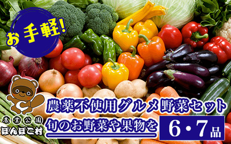 お手軽！農薬不使用グルメ野菜セット【旬のお野菜や果物を6・7品】＜農業公園ぽんぽこ村＞
