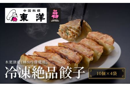 【木更津産(林SPF豚使用)】冷凍絶品餃子(10個×4袋)