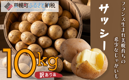 「数量限定訳あり品」じゃがいも「サッシー」Mサイズ・10kg AF059 | じゃがいも