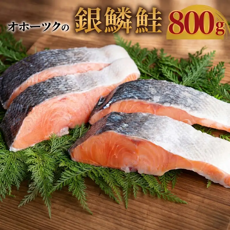 オホーツク海の銀鱗鮭【配送不可地域：離島】 鮭 AH006