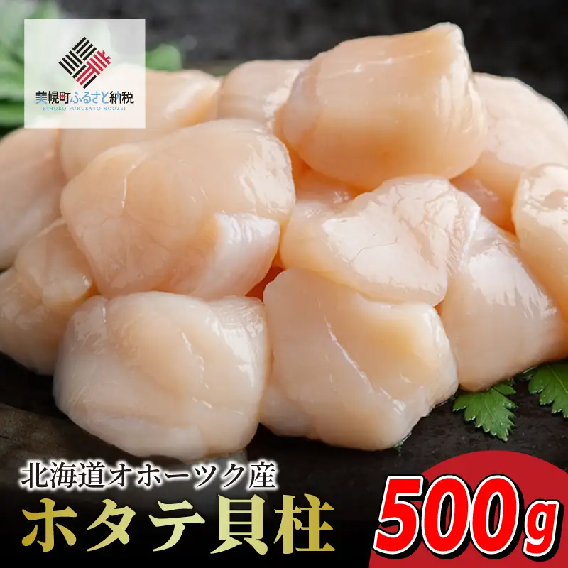 【北海道オホーツク産】ホタテ 貝柱 500g (1パック) AH016 | ホタテ