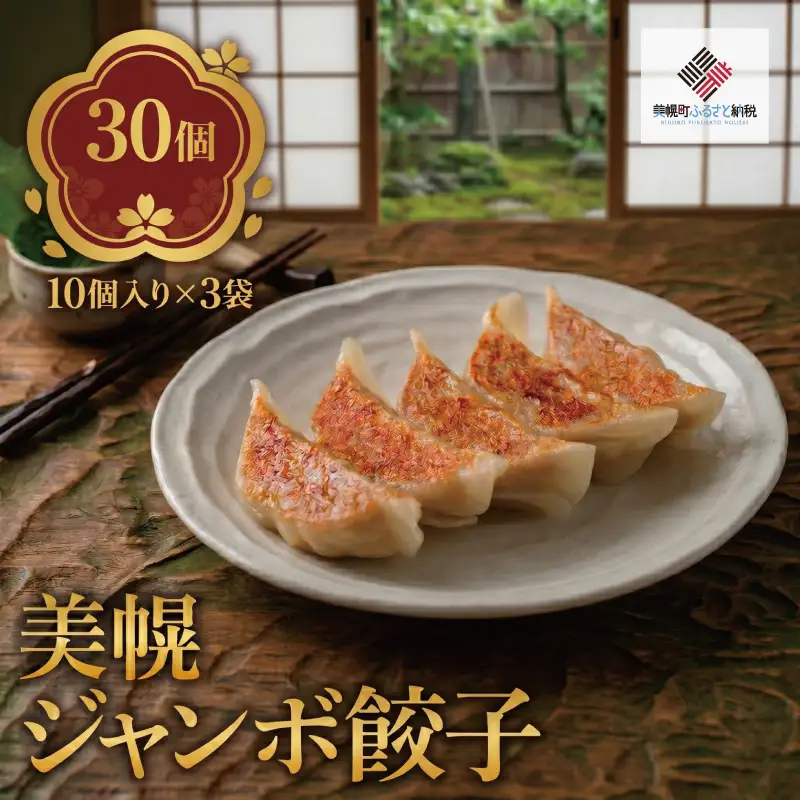 美幌ジャンボ餃子　30個(10個入り×3袋)【配送不可地域：離島】 AH023 | 餃子