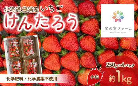 【2026.4月下旬以降順次出荷】北海道 豊浦 いちご 小玉 けんたろう 250g×4パック1箱 約1kg 