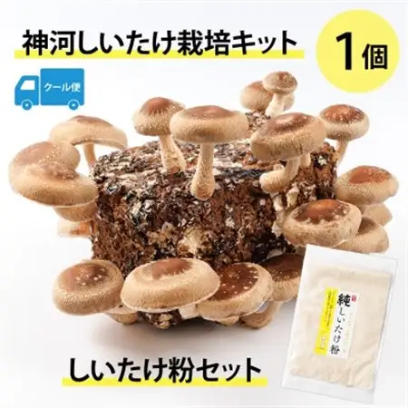 神河しいたけ栽培キット(しいたけ菌床)1個としいたけ粉セット　※5月～10月順次発送【配送不可地域：離島】【1411539】