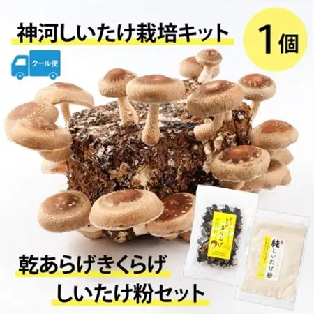神河しいたけ栽培キット(しいたけ菌床)1個と乾あらげきくらげ・しいたけ粉セット※5月～10月順次発送【配送不可地域：離島】【1411540】