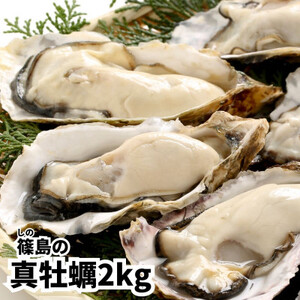 【生食用殻付き】 牡蠣 2kg 冷凍 真牡蠣