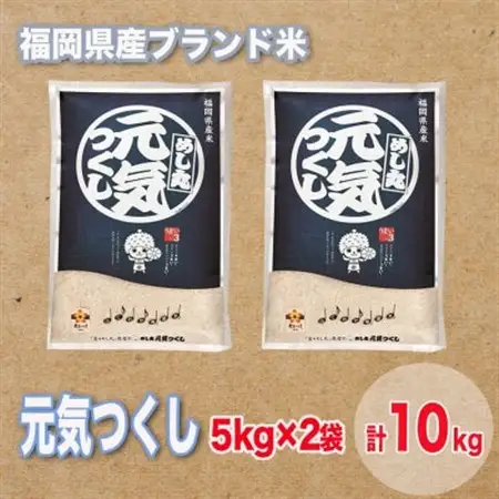 福岡県産ブランド米元気つくし(合計10kg)_ 精米 米 _【1411439】