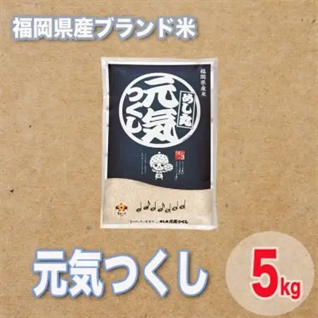福岡県産ブランド米元気つくし5kg_ 精米 米 _【1411443】
