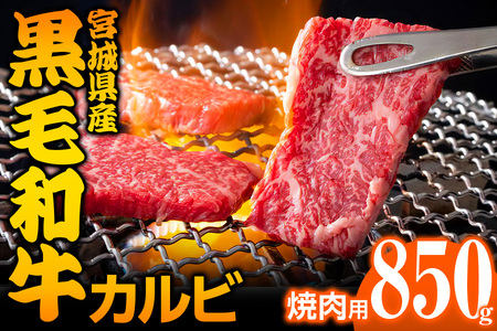 宮城県産 黒毛和牛カルビ焼肉用 850g [0050]