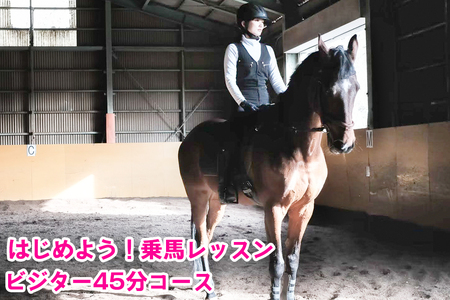 はじめよう！乗馬レッスン・ビジター45分コース [0091]