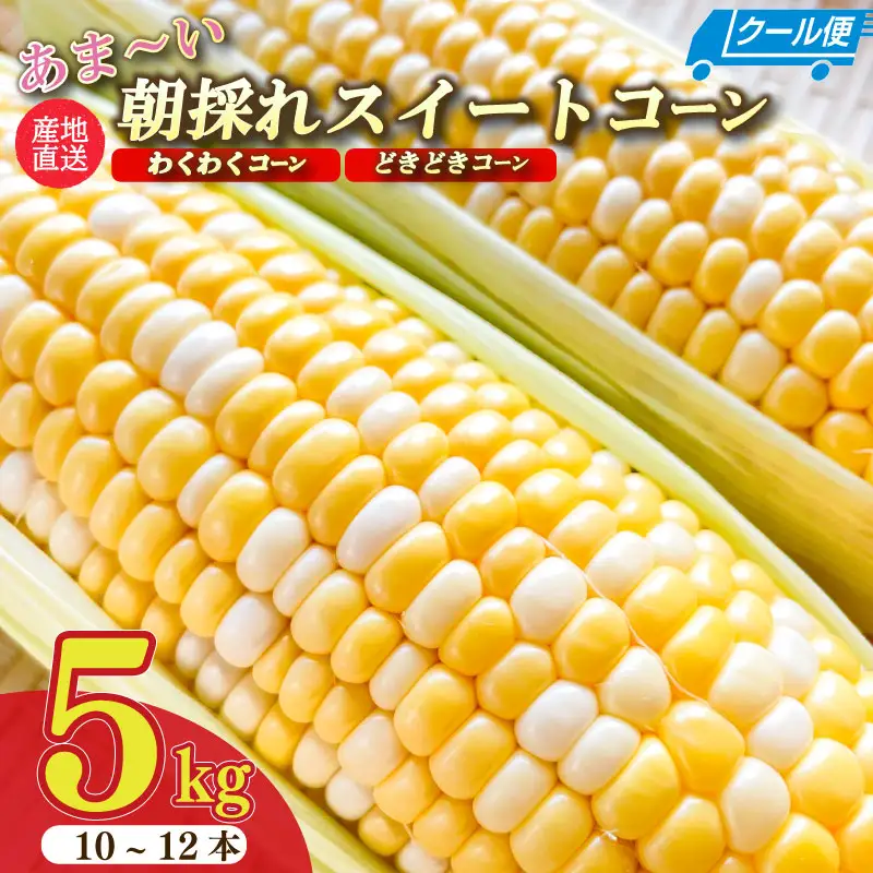 【先行予約】 とうもろこし 5㎏  とうもろこし ぐりぱ