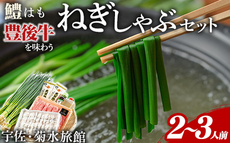 ねぎしゃぶ(6品)ねぎしゃぶ しゃぶしゃぶ 豊後牛 鱧 はも 鍋 お鍋 セット【101500301】【菊水旅館】
