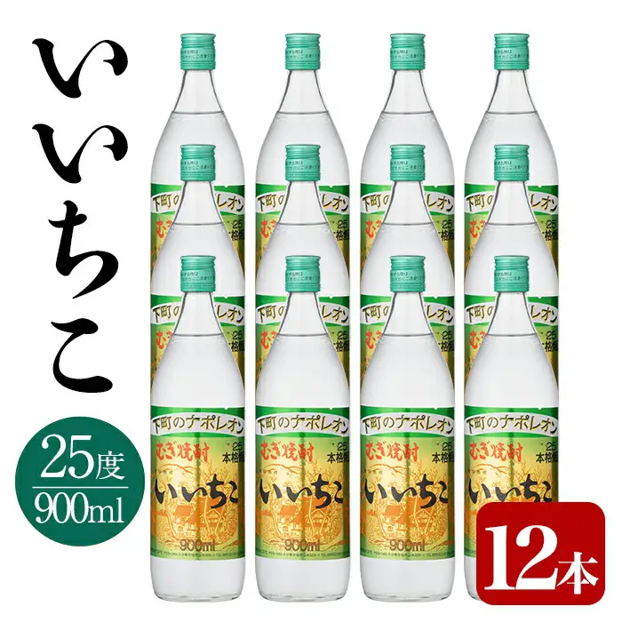 いいちこ ビン セット(計10.8L・900ml×12本)酒 お酒 むぎ焼酎 900ml 麦焼酎 いいちこ 常温 三和酒類 セット【104304500】【山添産業】