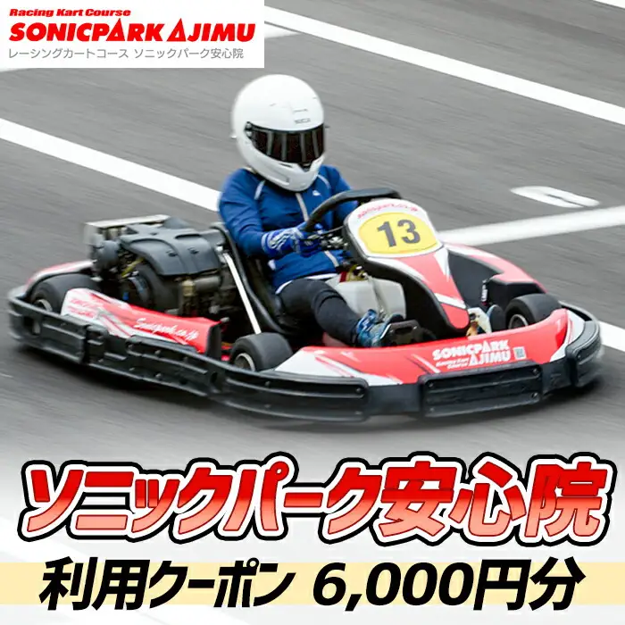 ソニックパーク安心院利用クーポン(6,000円分)クーポン 体験 アウトドア レーシング場 レーシングコース【106500100】【ガリレオレーシング】