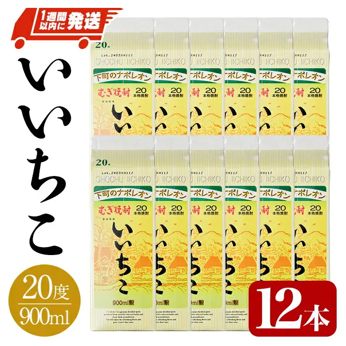 いいちこ 20度 パック(計10.8L・900ml×12本)酒 お酒 むぎ焼酎 900ml 麦焼酎 常温 いいちこ 三和酒類 紙パック【107304000】【時枝酒店】