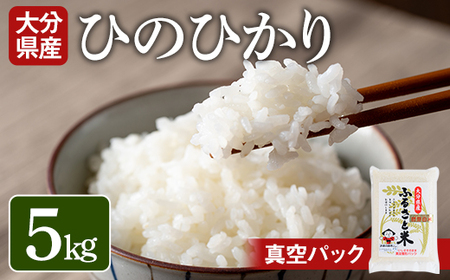 ＜令和7年産＞大分県産ひのひかり(5kg)米 お米 ひのひかり ヒノヒカリ 白米 真空パック 大分県産【107800102】【お米の鈴木】